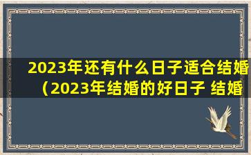 2023年还有什么日子适合结婚（2023年结婚的好日子 结婚吉日大全）